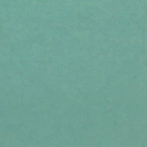 Meet your Posher, Brook